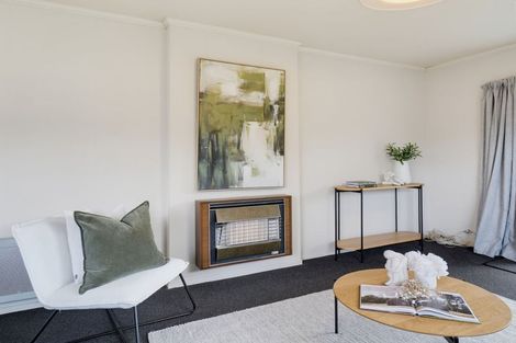 Photo of property in 10b Ihle Street, Terrace End, Palmerston North, 4410