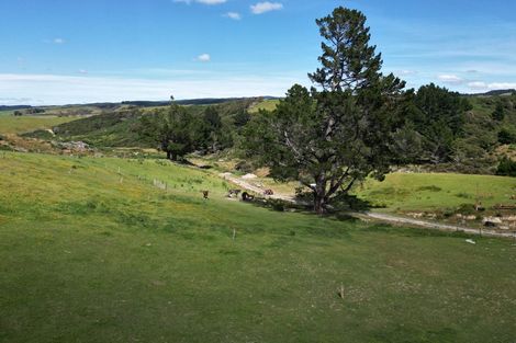 Photo of property in 67 Taieri Beach Road, Taieri Beach, Brighton, 9091