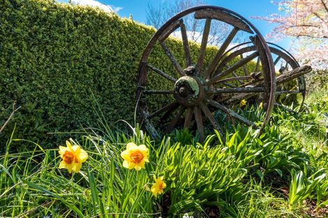 Photo of property in 82 Point Bush Road, Waimate, 7979