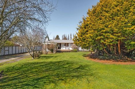 Photo of property in 38 Udy Street, Greytown, 5712