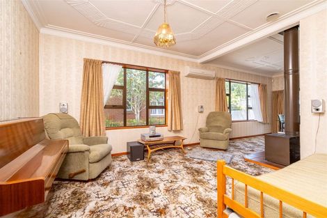 Photo of property in 22 Ainslee Place, North East Valley, Dunedin, 9010