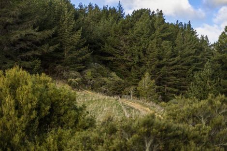 Photo of property in 457b Paremata Haywards Road, Judgeford, Porirua, 5381