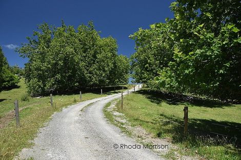Photo of property in 535 Whakapirau Road, Whakapirau, Maungaturoto, 0583