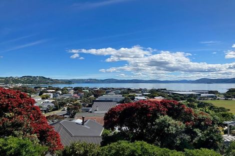 Photo of property in 39b Mantell Street, Seatoun, Wellington, 6022