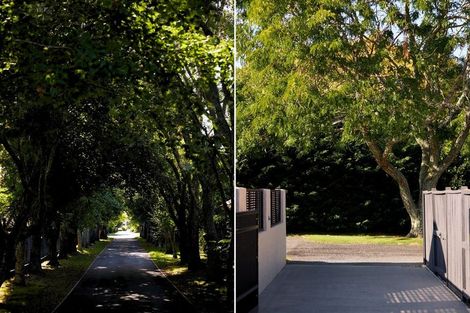 Photo of property in 174k Moffat Road, Bethlehem, Tauranga, 3110