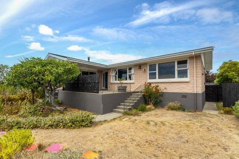 Photo of property in 21 Moran Street, Redwoodtown, Blenheim, 7201