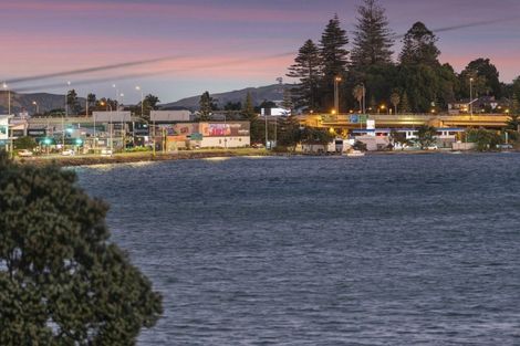 Photo of property in 65a Maxwells Road, Otumoetai, Tauranga, 3110