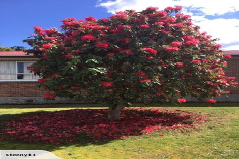 Photo of property in 387 Mossop Road, Kinleith, Tokoroa, 3491