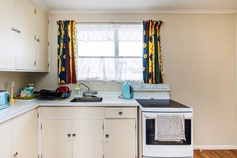 Photo of property in 20 Fitzroy Street, Terrace End, Palmerston North, 4410