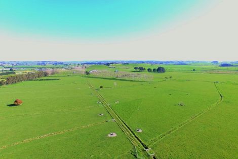 Photo of property in 141 Awakino Road, Dargaville, 0310