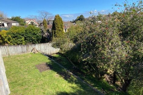 Photo of property in 17a Thomson Avenue, Dinsdale, Hamilton, 3204