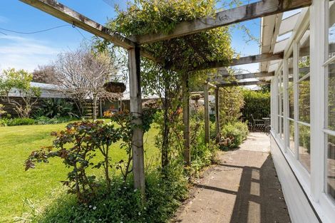 Photo of property in 67b Boucher Avenue, Te Puke, 3119