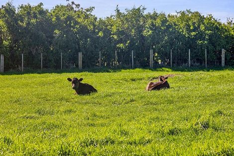 Photo of property in 570 South Road, Hawera, 4672