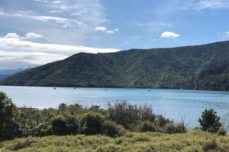 Photo of property in 571 Port Underwood Road, Whatamango Bay, Picton, 7281