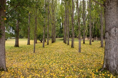 Photo of property in 569 Dunstan Road, Alexandra, 9391