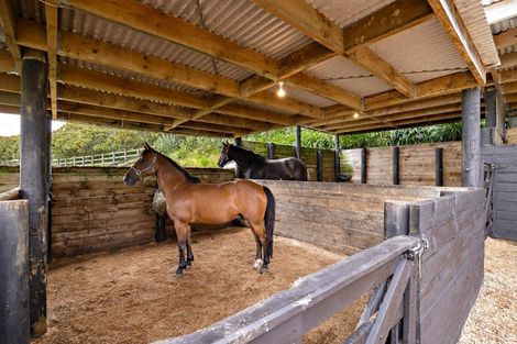 Photo of property in 298 Rimmer Road, Helensville, 0875