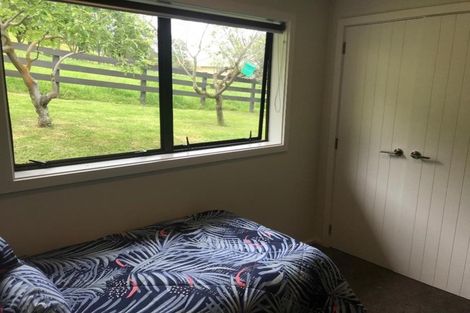 Photo of property in 504 Youngson Road, Whakamarama, Tauranga, 3179