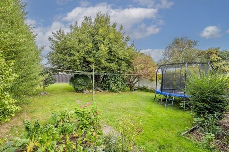 Photo of property in 50 Power Street, Levin, 5510