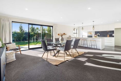 Photo of property in 17 Gemini Place, Rolleston, 7614