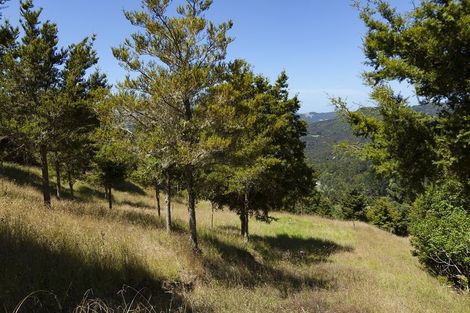 Photo of property in 49a Mangamanihi Road, Kaeo, 0479