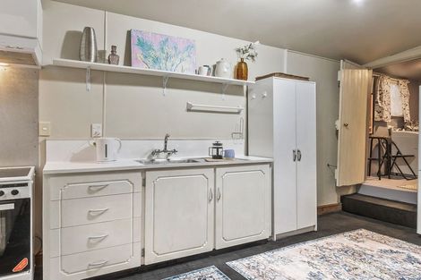 Photo of property in 17 Haig Street, Mornington, Dunedin, 9011