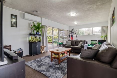 Photo of property in 52 Wakeman Street, Pahiatua, 4910