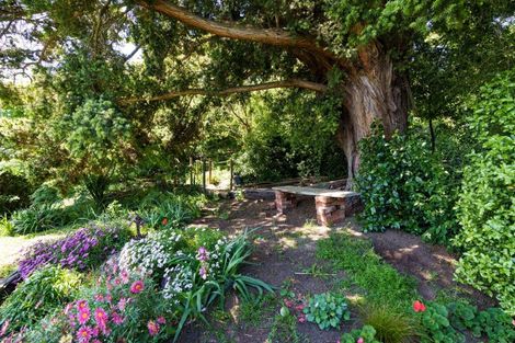 Photo of property in 20 Greenhithe Street, Waihola, Milton, 9073