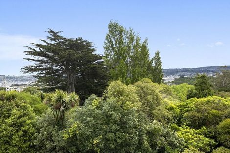 Photo of property in 49 Highcliff Road, Andersons Bay, Dunedin, 9013