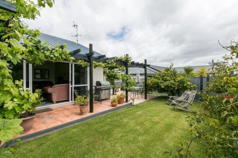 Photo of property in 61a Napier Road, Havelock North, 4130
