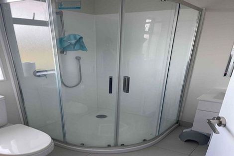 Photo of property in 27 Lemon Tree Lane, Flat Bush, Auckland, 2019