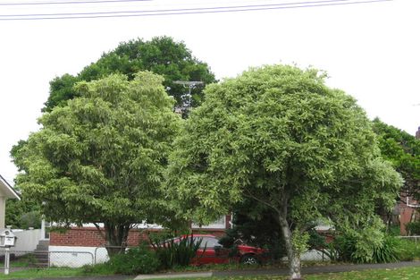 Photo of property in 80 Alberton Avenue, Mount Albert, Auckland, 1025