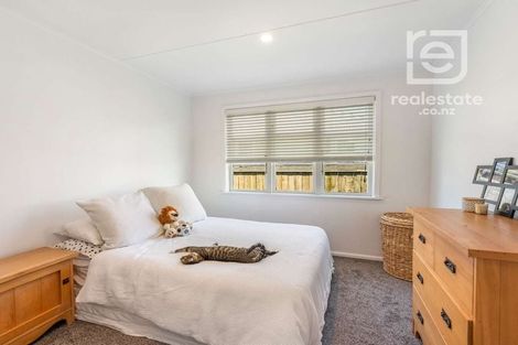 Photo of property in 112 Geddis Avenue, Maraenui, Napier, 4110