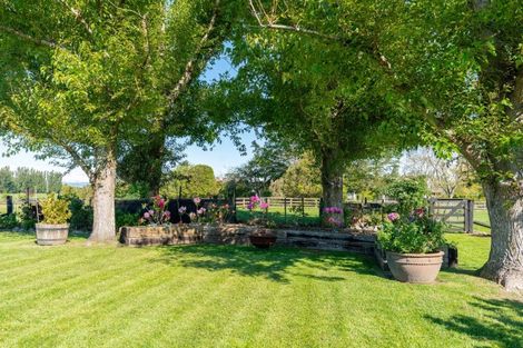 Photo of property in 85 North Street, Greytown, 5712