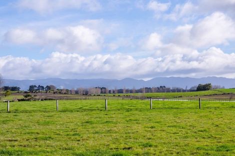 Photo of property in 962 Lake Ferry Road, Dyerville, Martinborough, 5781