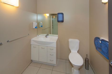 Photo of property in 13 Central Park Drive, Te Atatu South, Auckland, 0610