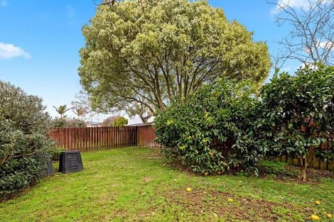 Photo of property in 69 Puriri Road, Pukekohe, 2120
