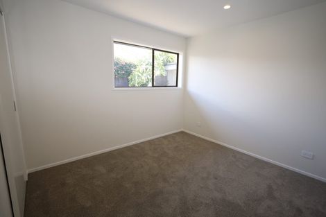 Photo of property in 79a Seventh Avenue, Tauranga, 3110
