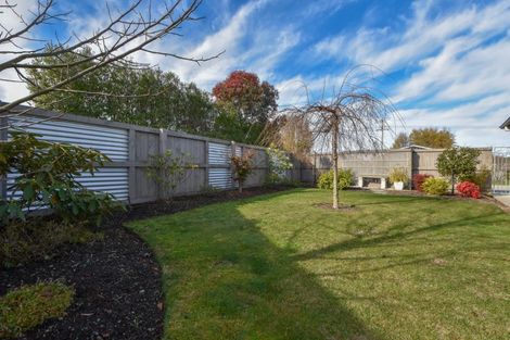 Photo of property in 266 High Street South, Carterton, 5713