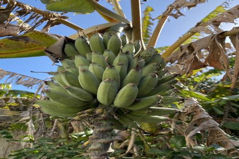 Photo of property in 133 Pouewe Street, Kawhia, 3889