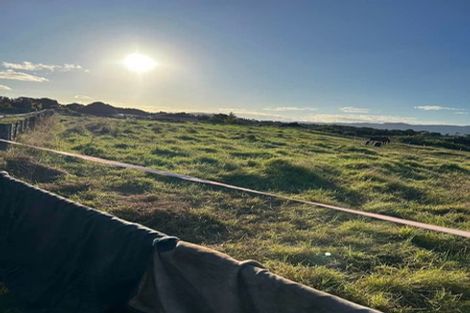 Photo of property in 201 Grahams Beach Road, Manukau Heads, Waiuku, 2684