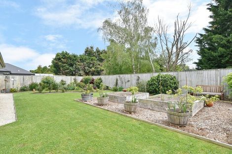 Photo of property in 27 Carmichael Street, Rangiora, 7400