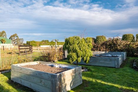Photo of property in 8 Minnie Street, Waimate, 7980
