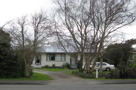 Photo of property in 9 Montgomery Street, Levin, 5510