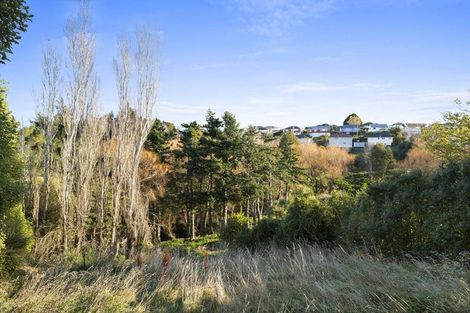Photo of property in 32 Panmure Avenue, Calton Hill, Dunedin, 9012