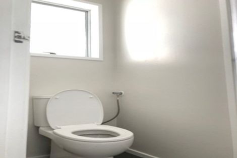 Photo of property in 17 Preston Avenue, Henderson, Auckland, 0610