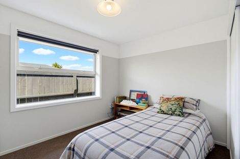 Photo of property in 52 Wellington Street, Hampstead, Ashburton, 7700