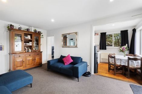 Photo of property in 45 Torlesse Street, Avonside, Christchurch, 8061