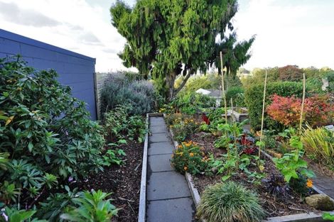 Photo of property in 10a Radnor Street, Hamilton Central, Hamilton, 3204