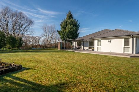 Photo of property in 23 Coles Street, Geraldine, 7930