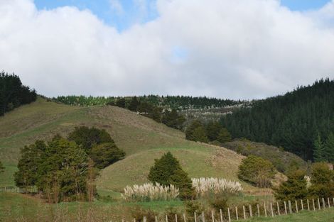 Photo of property in 113 Wayby Station Road, Wellsford, 0972